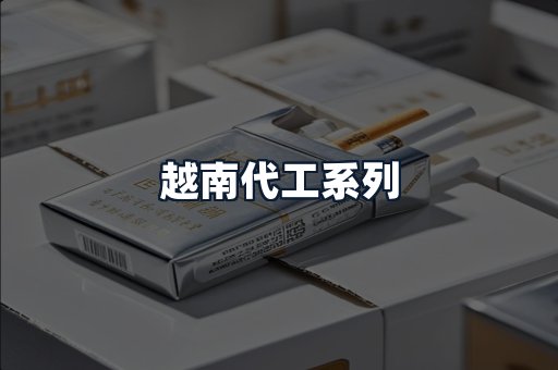 越南代工系列